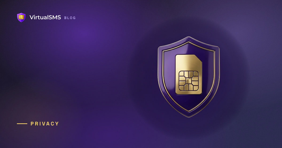 3D shield with a gold SIM emblem illustration on a deep purple aurora background