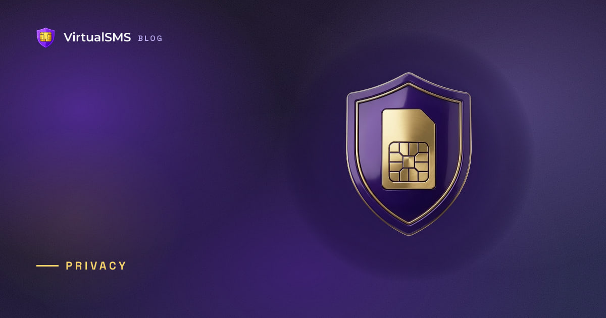 3D shield with a gold SIM emblem illustration on a deep purple aurora background
